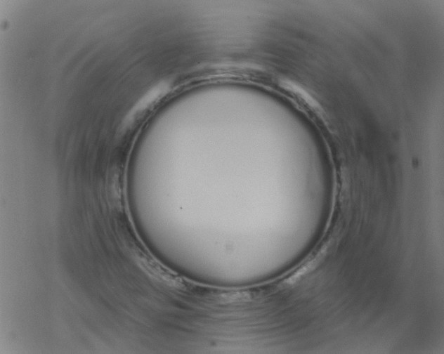 X0000077401403200611101808