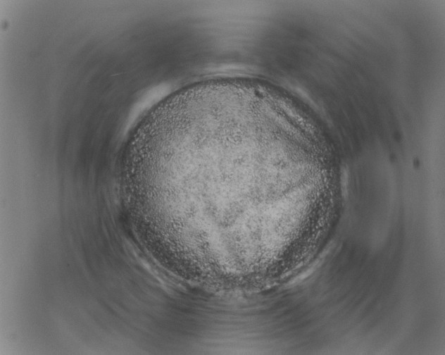 X0000077401405200611101808