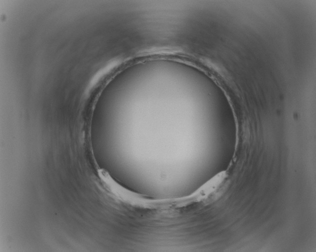 X0000077401406200611101808