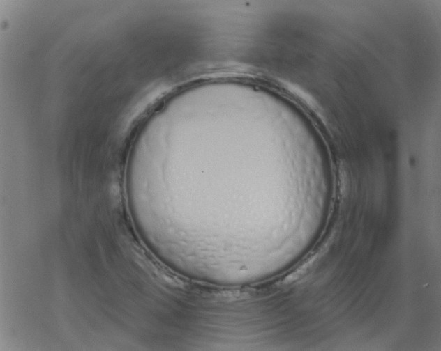 X0000077401407200611101808