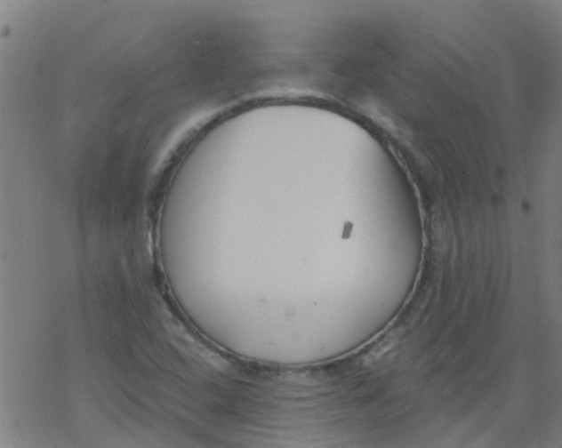 X0000077401408200611101808