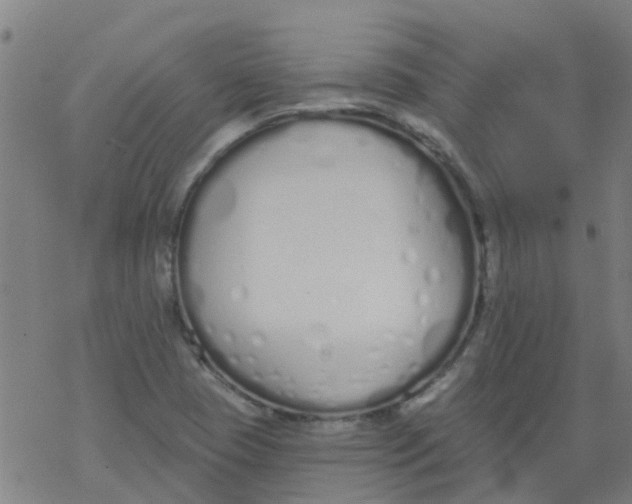 X0000077401409200611101808