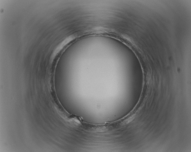 X0000077401410200611101808