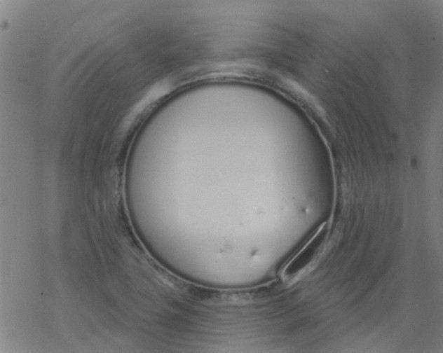 X0000077401411200611101808