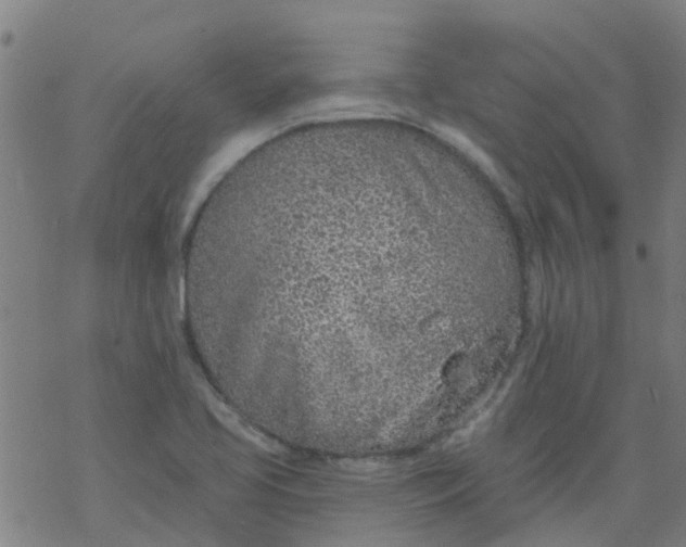 X0000077401413200611101808