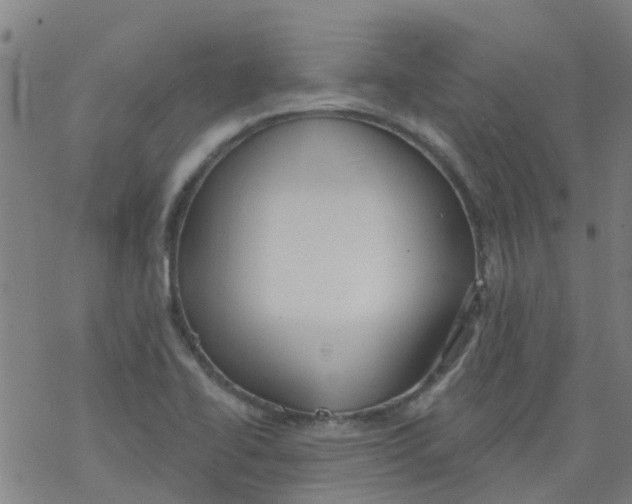 X0000077401414200611101808