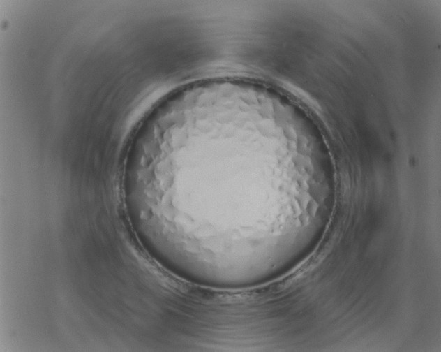 X0000077401415200611101808