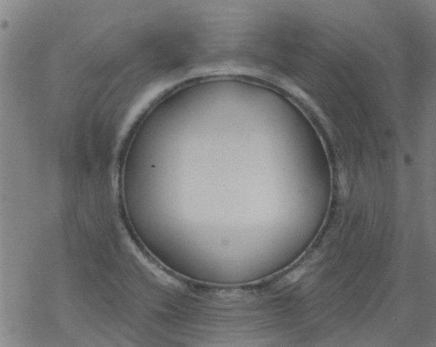 X0000077401416200611101808