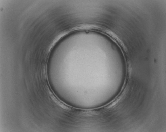 X0000077401417200611101808