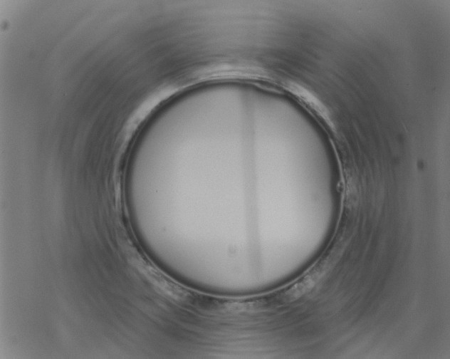 X0000077401419200611101809