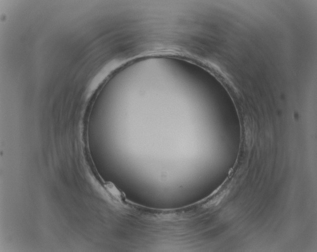 X0000077401422200611101809