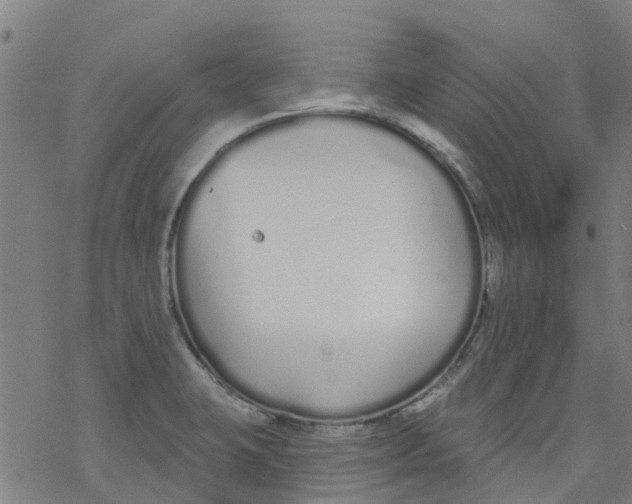 X0000077401423200611101809