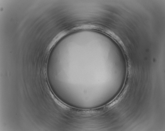 X0000077401425200611101809