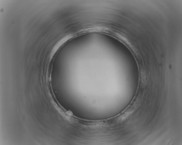 X0000077401426200611101809