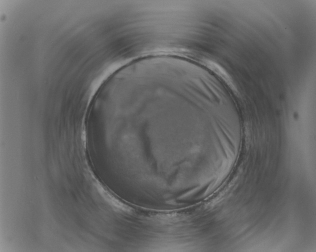 X0000077401428200611101809