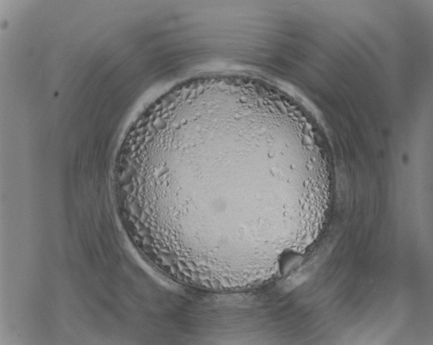 X0000077401429200611101809