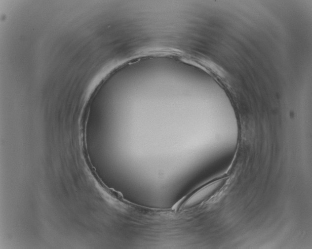 X0000077401430200611101809