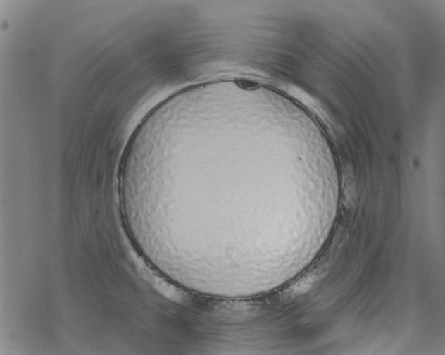 X0000077401431200611101809