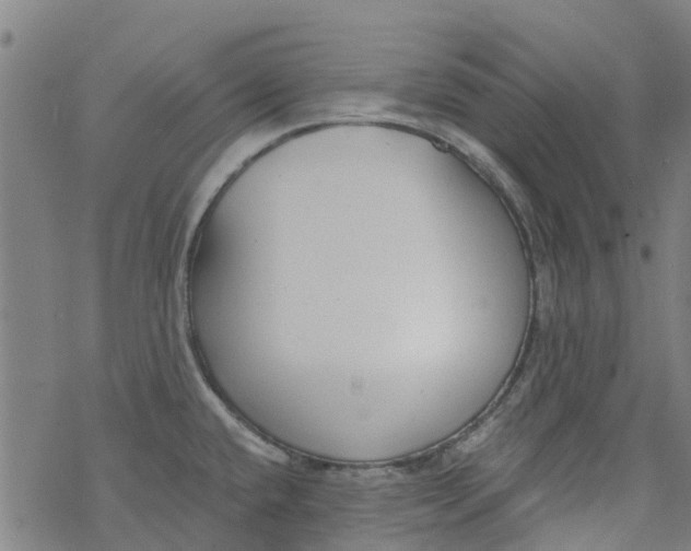 X0000077401432200611101809