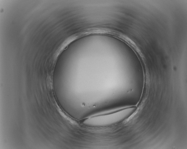 X0000077401433200611101809