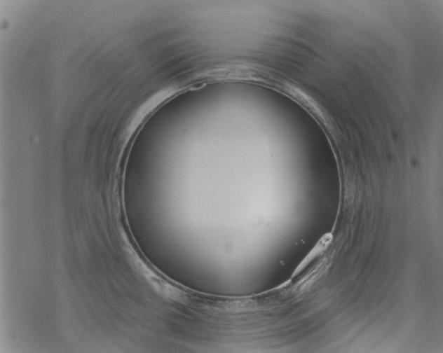 X0000077401434200611101809