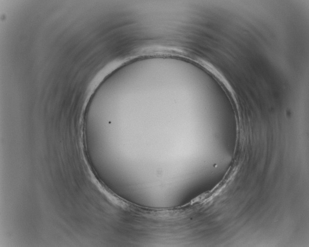 X0000077401437200611101809