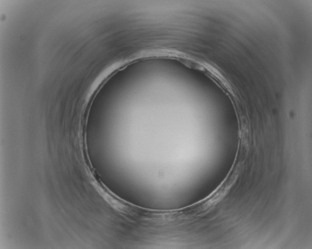 X0000077401438200611101809