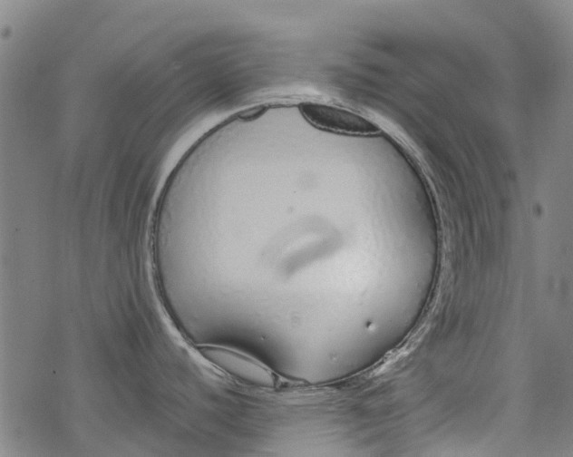 X0000077401440200611101809