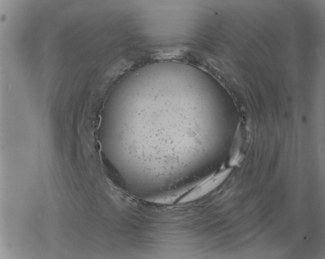 X0000077401441200611101808