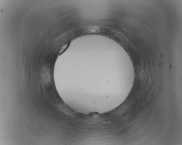 X0000077401442200611101808