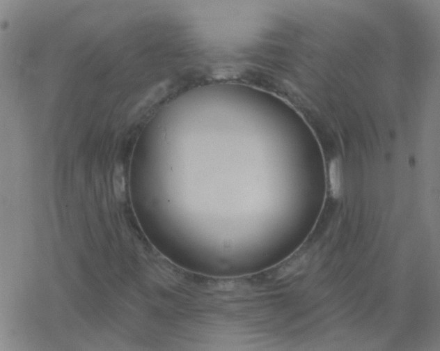 X0000077401443200611101808