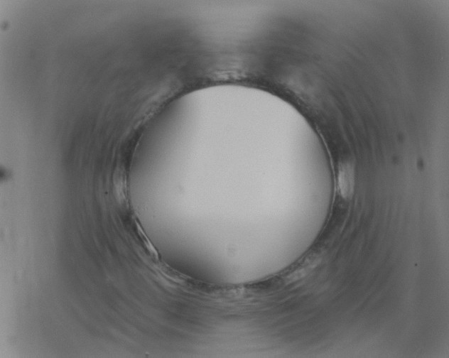 X0000077401444200611101808