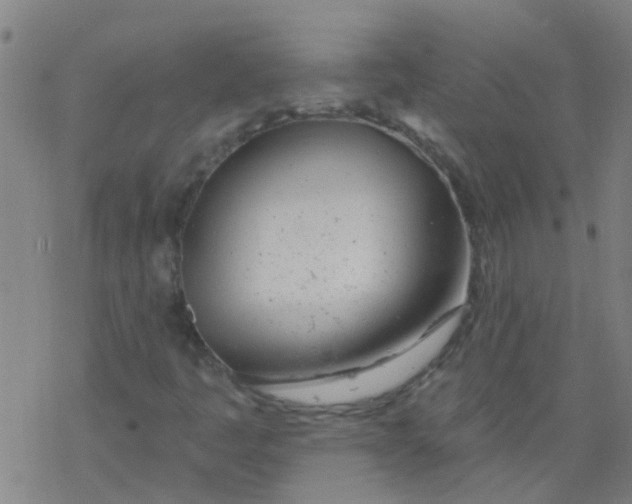 X0000077401445200611101808