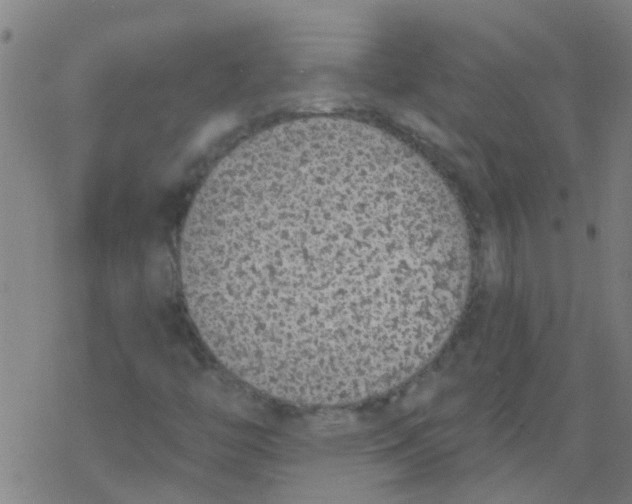 X0000077401446200611101808