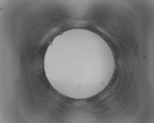 X0000077401447200611101808