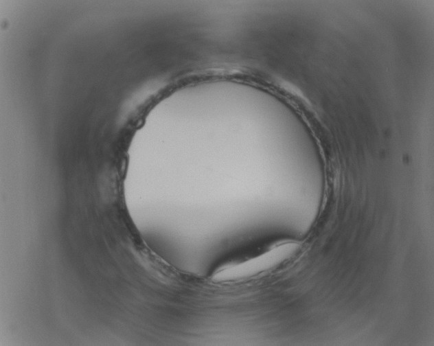 X0000077401448200611101808