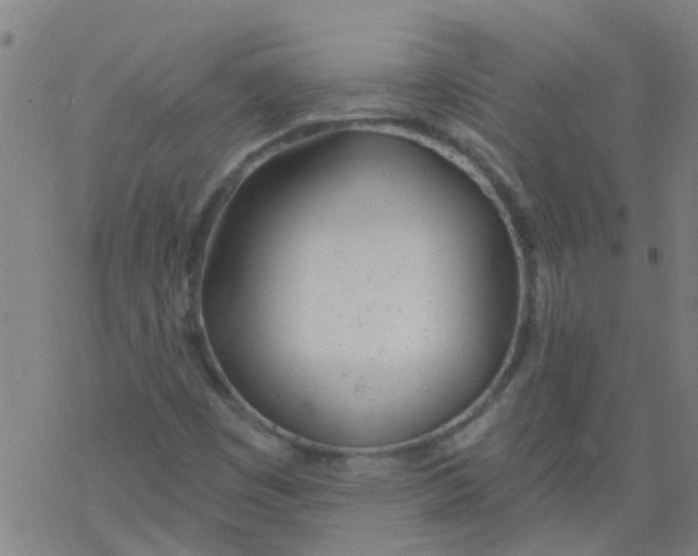 X0000077401449200611101808