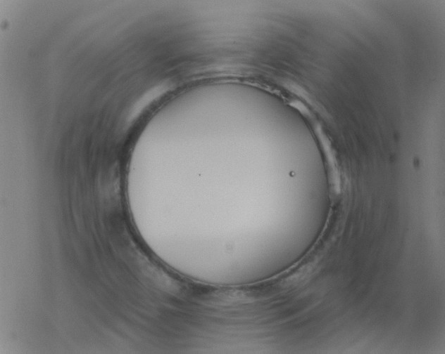 X0000077401450200611101808