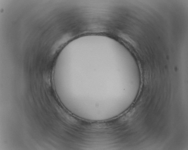 X0000077401451200611101808