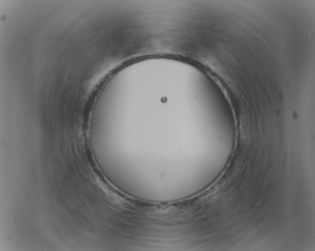 X0000077401452200611101808