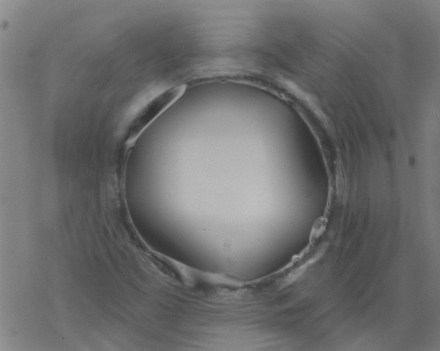 X0000077401453200611101808