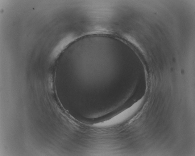 X0000077401455200611101808