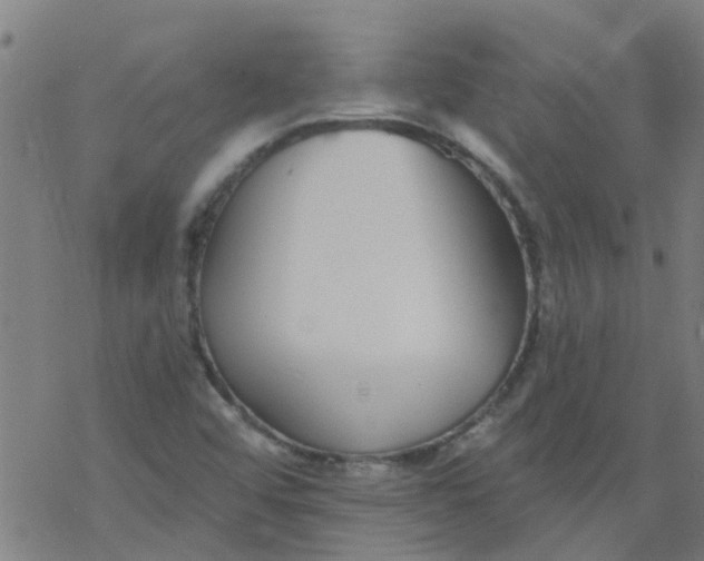 X0000077401456200611101808