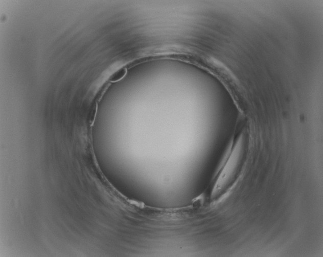 X0000077401457200611101808