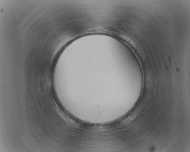 X0000077401458200611101808