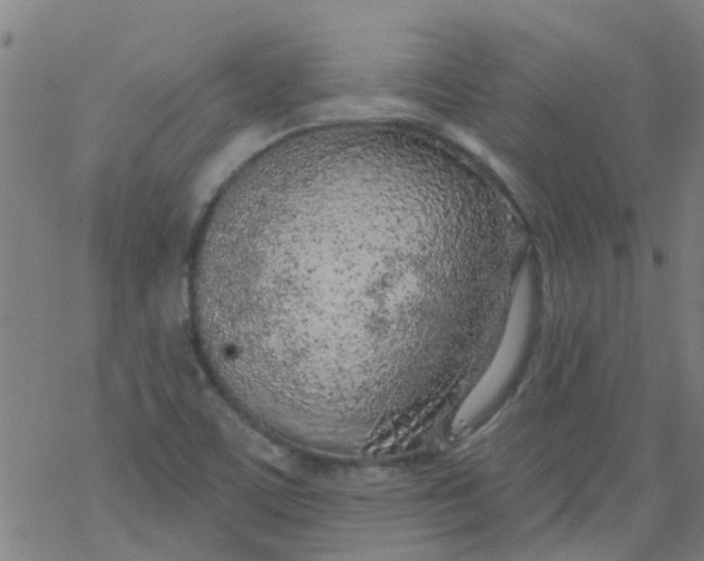 X0000077401459200611101808