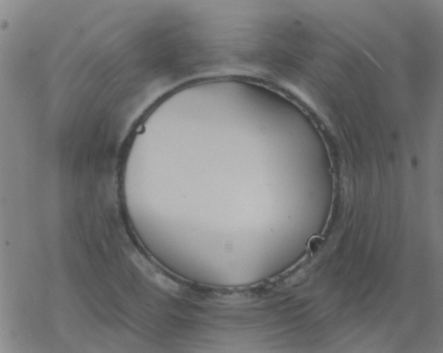 X0000077401460200611101808