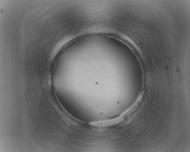 X0000077401461200611101808