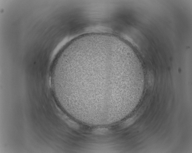 X0000077401462200611101808