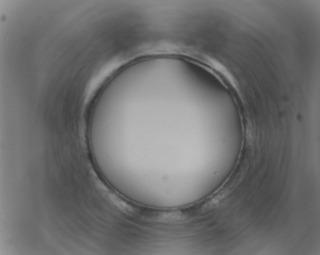 X0000077401464200611101808